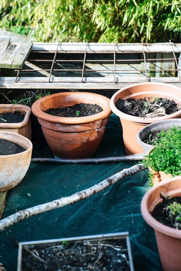 Environment and sustainability updates